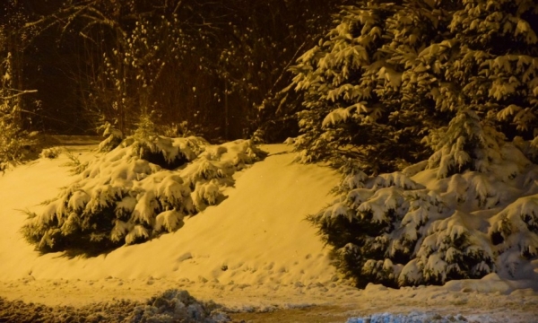 Kiedy noc spotyka się z zimą...