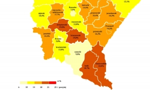 Bezrobocie w województwie podkarpackim - powiat leski wciąż w ogonie   statystyk. Czy będziemy miastem &quot;starych ludzi&quot;?...