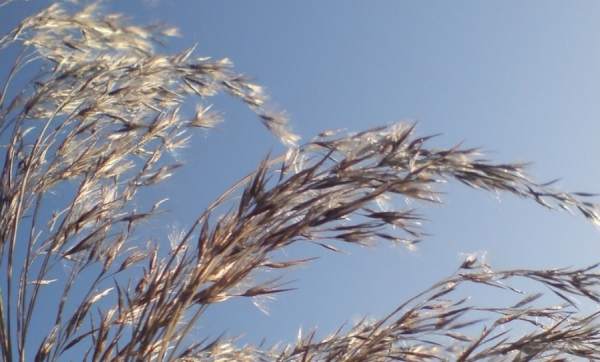 Nadal silny wiatr - kolejne ostrzeżenie meteo